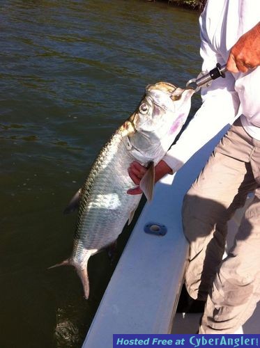 Click to Enlarge Photo