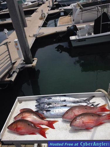 Click to Enlarge Photo