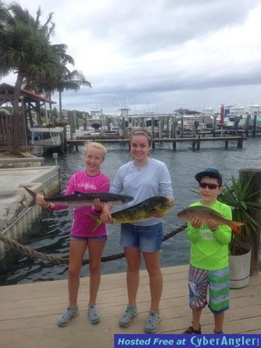 Click to Enlarge Photo