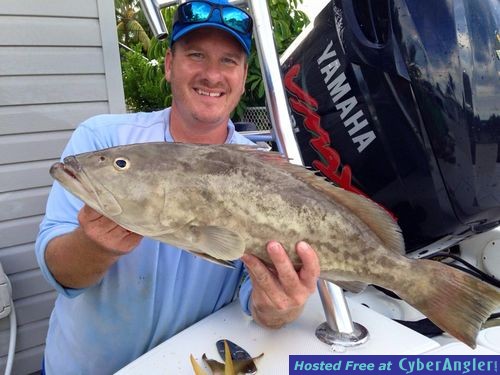 Click to Enlarge Photo