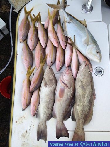 Click to Enlarge Photo