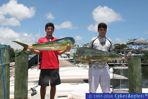 Click to Enlarge Photo