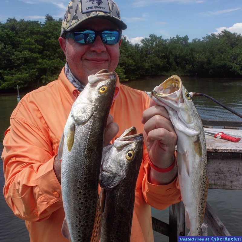 Estero Bay Redfish Snook Trout Tarpon