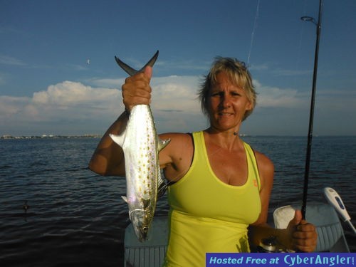 Click to Enlarge Photo