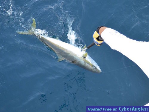 Click to Enlarge Photo