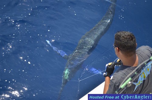 Click to Enlarge Photo