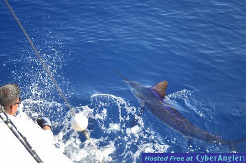 Click to Enlarge Photo