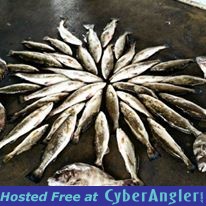 Galveston Fishing Charters