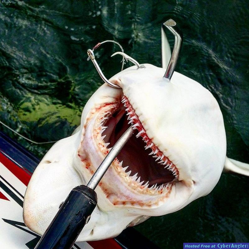 Galveston Fishing Charters