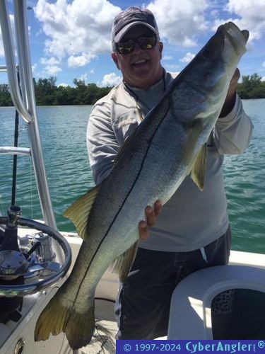 Click to Enlarge Photo