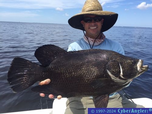 Click to Enlarge Photo