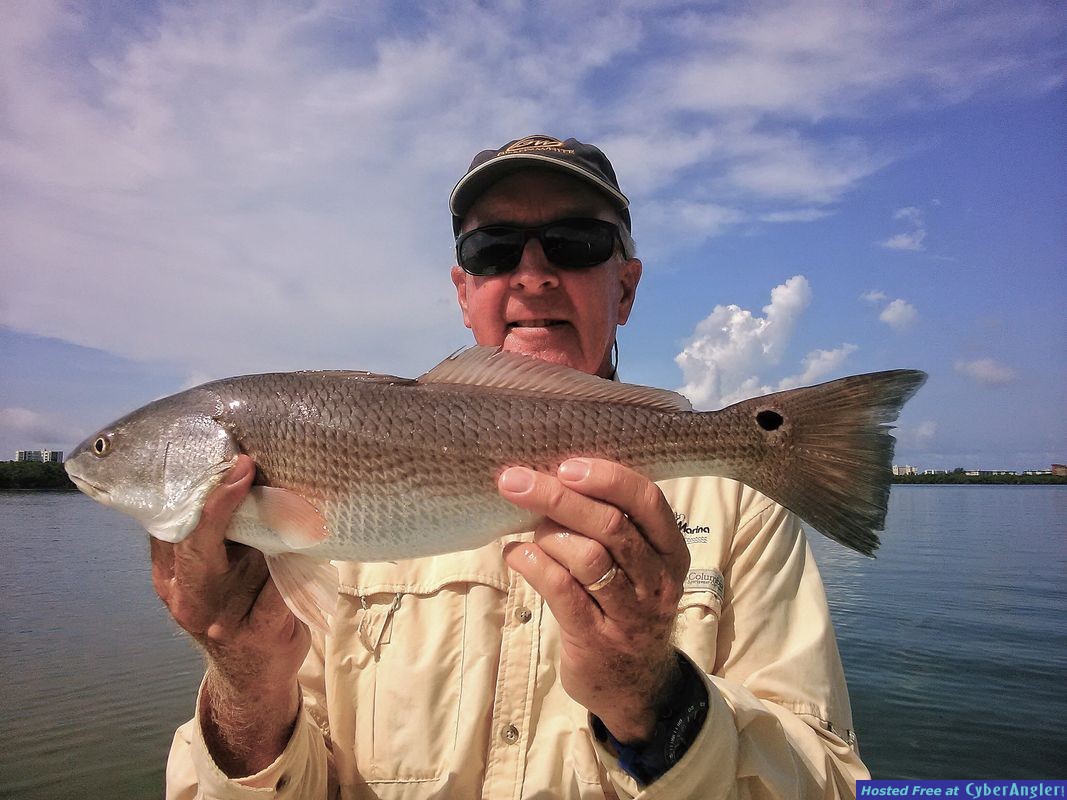 Estero Bay Redfish