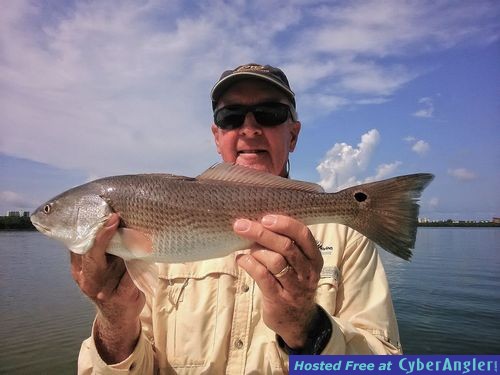 Estero Bay Redfish