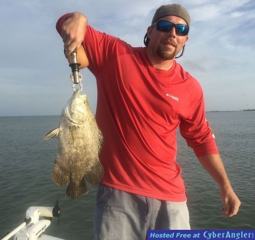 Tripletail