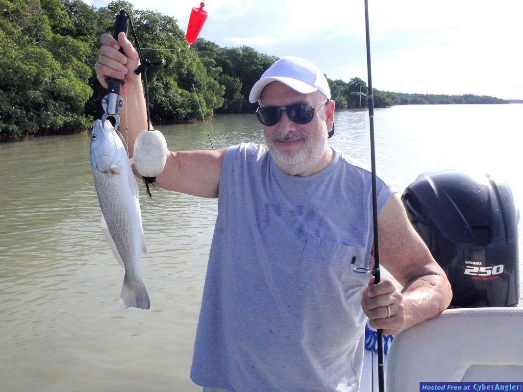 Sctt_n_redfish