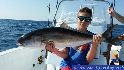 Click to Enlarge Photo