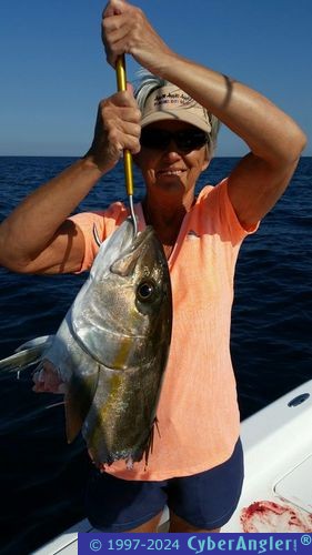 Click to Enlarge Photo