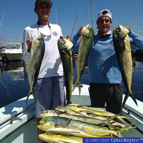 Click to Enlarge Photo