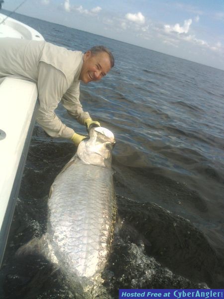 200 lb Tarpon