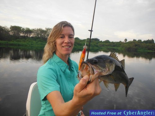 Click to Enlarge Photo