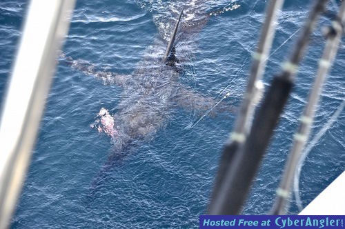 Click to Enlarge Photo