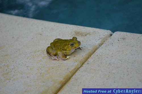 Click to Enlarge Photo