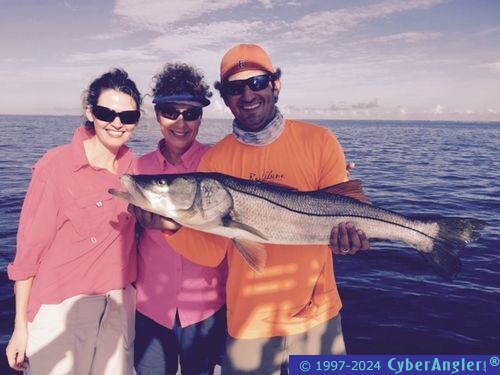 Click to Enlarge Photo