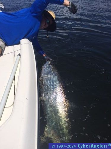 Click to Enlarge Photo