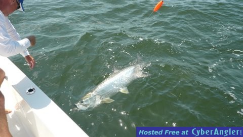 Phil Bryan tarpon 2