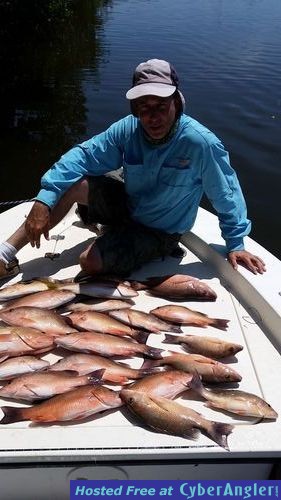 Off shore snapper