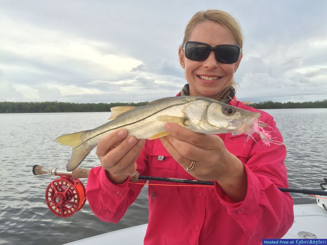 Snook on Fly
