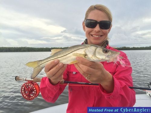 Click to Enlarge Photo