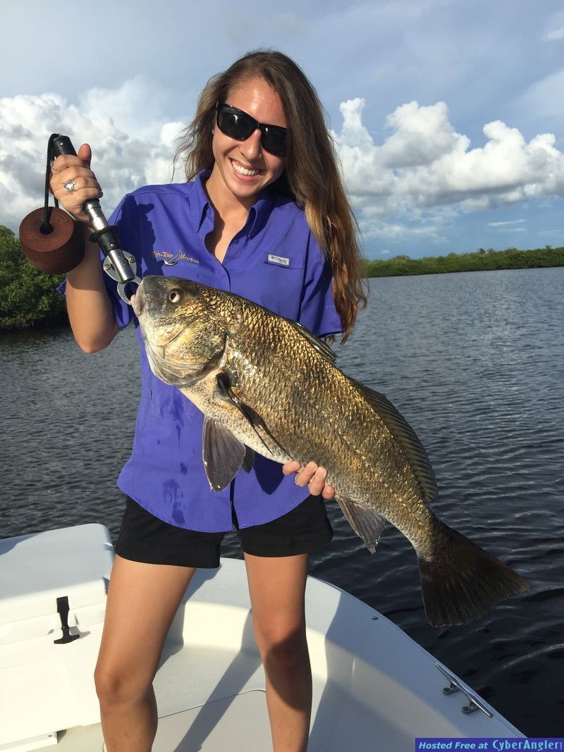 Estero Bay Black Drum