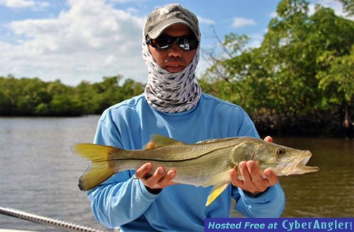 backcountry_snook