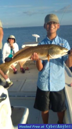 Click to Enlarge Photo