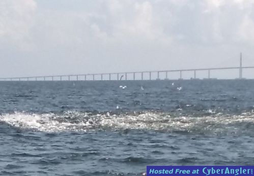 Click to Enlarge Photo