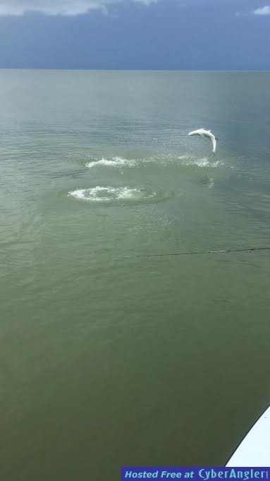 jumpng_poon