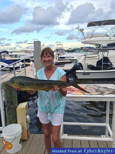 Click to Enlarge Photo