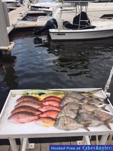 Click to Enlarge Photo