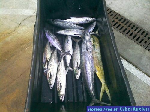 Click to Enlarge Photo