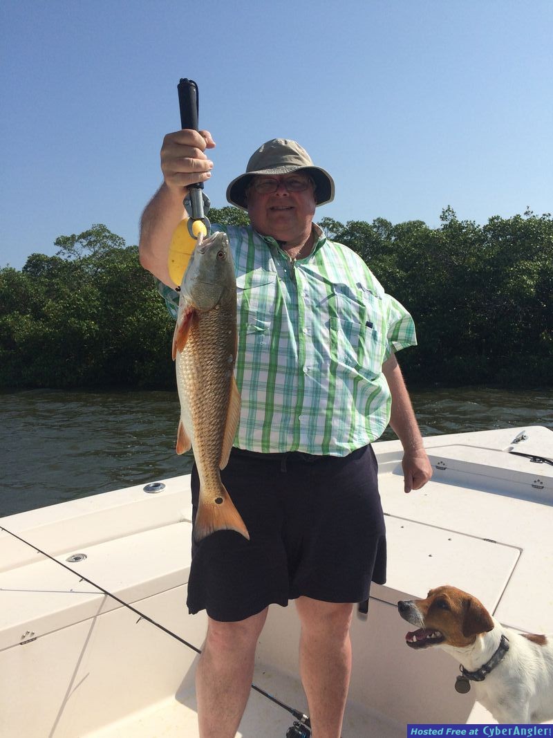 Redfish