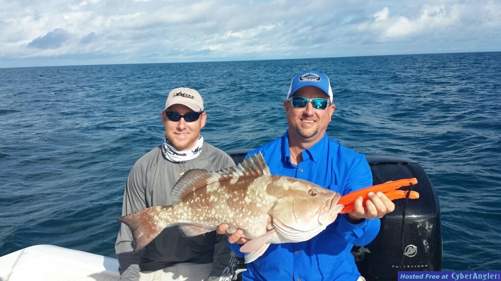 Big Red Grouper