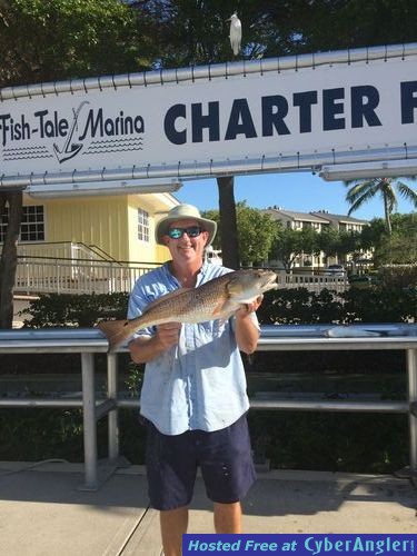 Redfish At The Dock