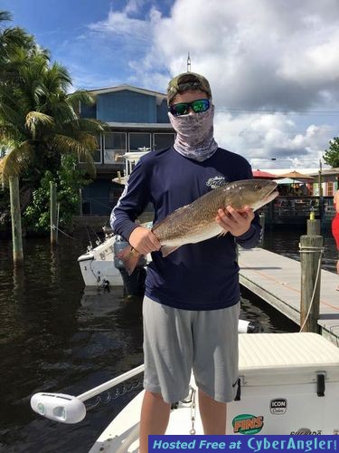 Click to Enlarge Photo