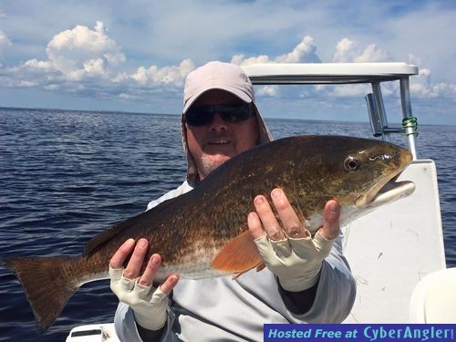 Click to Enlarge Photo