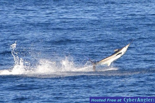 Click to Enlarge Photo