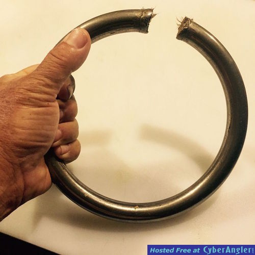 Click to Enlarge Photo