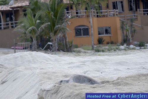 Click to Enlarge Photo