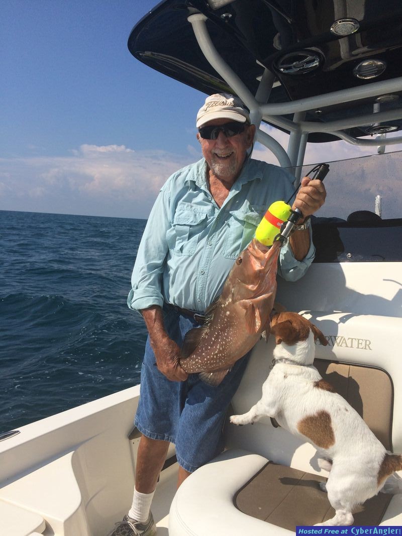 Red Grouper