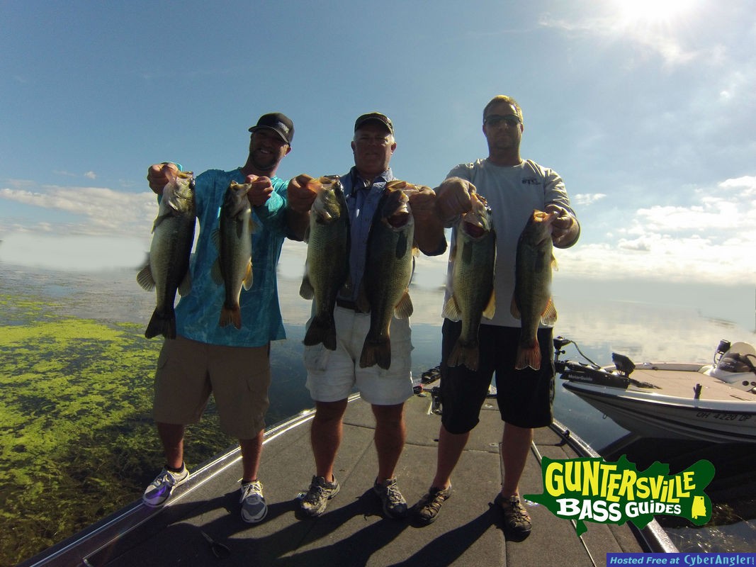 Guntersville Frog Fishing